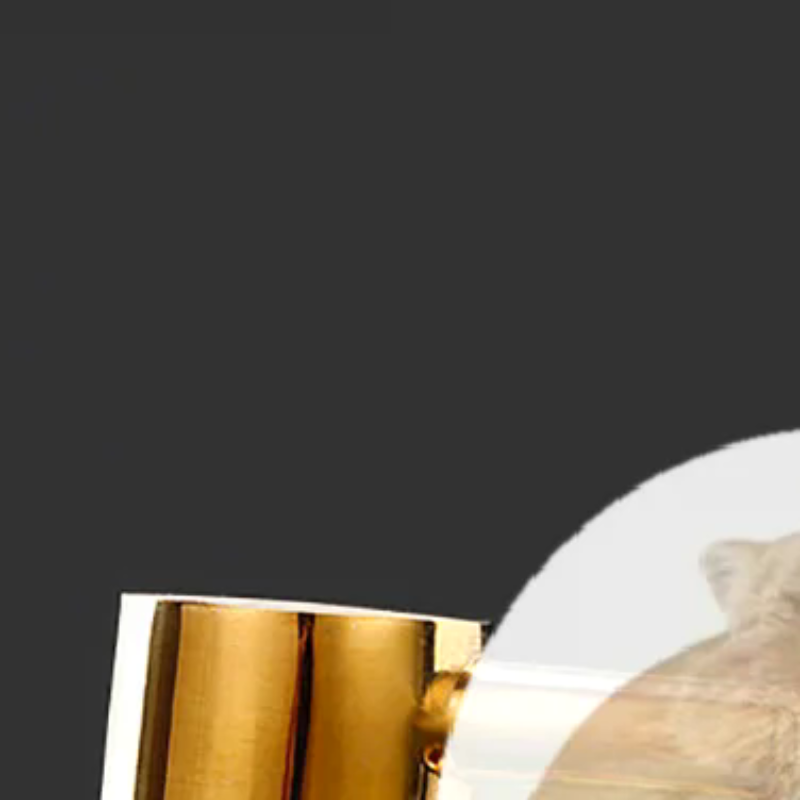304 Stainless Steel Spigot Wat - Wine Beer Juice review and price